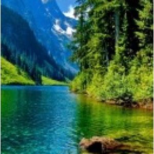 Meet your Posher, Dennis